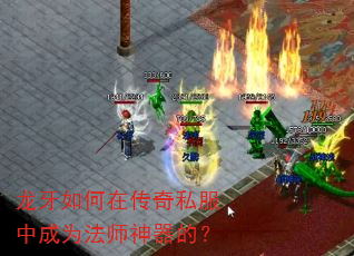 ڴ˽гΪʦģ
