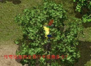 ҷѶ٣