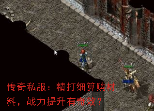 ˽ϸ㹺ϣսЧ