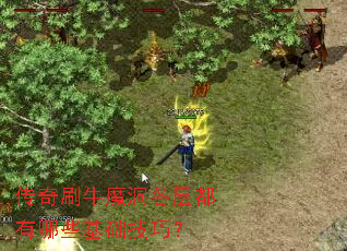 传奇刷牛魔洞各层都有哪些基础技巧? 传奇刷牛魔洞各层都有哪些基础技巧?