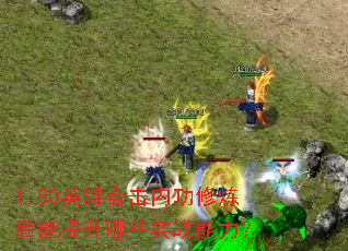 1.80ӢۺϻڹЩʵս