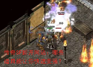 SF¿վЩٱǿ