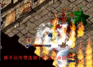 洫ѡĸְҵʣ