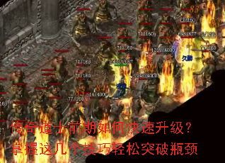ʿǰο⼸ͻƿ