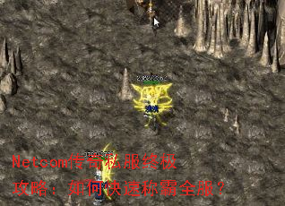 Netcom˽ռԣοٳưȫ