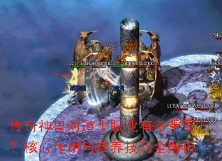 ޶ԵʿְҵжҪȫ