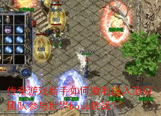 Ϸ˳붥ŶӲbossս