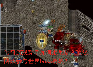 Ϸ˳붥ŶӲbossս