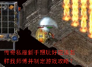 ˽ӦʦƶϷԣ