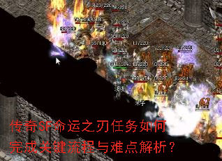 SF֮ɹؼѵ