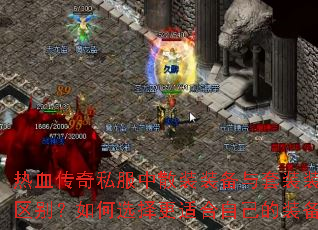 Ѫ˽ɢװװװװʲôѡʺԼװ䣿