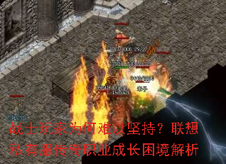 սʿΪԼ֣˽зְҵɳ