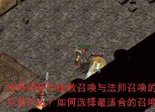 Ϸеٻ뷨ʦٻĺĲʲôѡʺϵٻɣ