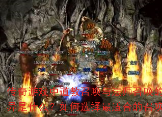 Ϸеٻ뷨ʦٻĺĲʲôѡʺϵٻɣ