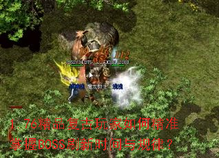 1.76Ʒξ׼BOSSˢʱɣ