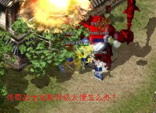 սʿǰ̫ô죿