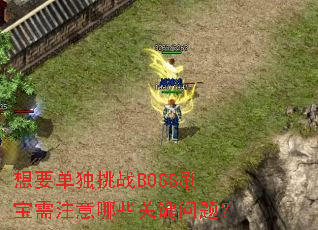 ҪսBOSSˢעЩؼ⣿