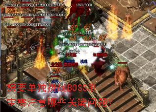 ҪսBOSSˢעЩؼ⣿