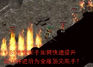 1.85传奇新手如何快速提升战力并进阶为全服顶尖高手? 1.85传奇新手如何快速提升战力并进阶为全服顶尖高手?