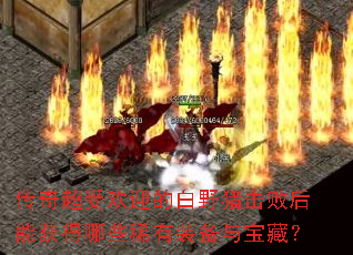 传奇超受欢迎的白野猪击败后能获得哪些稀有装备与宝藏? 传奇超受欢迎的白野猪击败后能获得哪些稀有装备与宝藏?