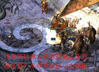 传奇SF玩家为何选择晚上开的服务器?高效冲级技巧大揭秘 传奇SF玩家为何选择晚上开的服务器?高效冲级技巧大揭秘
