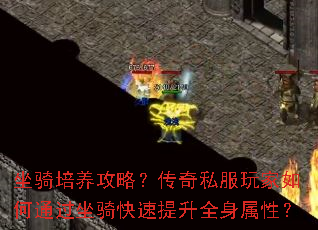 坐骑培养攻略?传奇私服玩家如何通过坐骑快速提升全身属性? 坐骑培养攻略?传奇私服玩家如何通过坐骑快速提升全身属性?