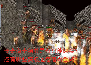 传奇道士狗书是否只能购买?还有哪些获取途径值得尝试? 传奇道士狗书是否只能购买?还有哪些获取途径值得尝试?