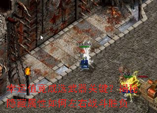 幸运值竟成选武器关键?揭秘隐藏属性如何左右战斗胜负 幸运值竟成选武器关键?揭秘隐藏属性如何左右战斗胜负