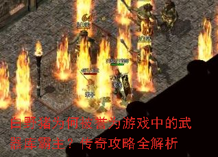 白野猪为何被誉为游戏中的武器库霸主?传奇攻略全解析 白野猪为何被誉为游戏中的武器库霸主?传奇攻略全解析