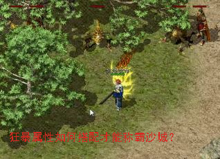 狂暴属性如何搭配才能称霸沙城? 狂暴属性如何搭配才能称霸沙城?