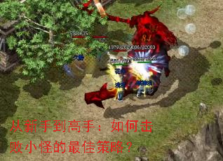 从新手到高手:如何击败小怪的最佳策略? 从新手到高手:如何击败小怪的最佳策略?