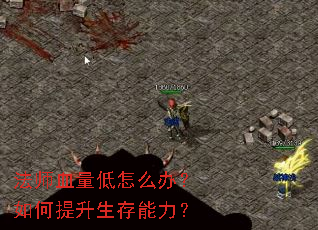 法师血量低怎么办?如何提升生存能力? 法师血量低怎么办?如何提升生存能力?