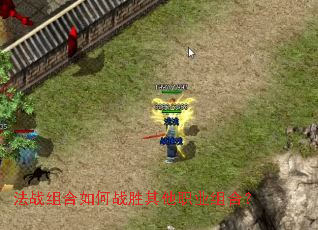 法战组合如何战胜其他职业组合? 法战组合如何战胜其他职业组合?