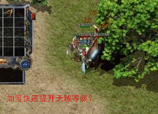 如何快速提升天域等级? 如何快速提升天域等级?