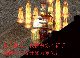 你若惹我,我便杀你?新手如何快速提升战力复仇? 你若惹我,我便杀你?新手如何快速提升战力复仇?