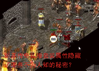 新开传奇私服套装属性隐藏了哪些不为人知的秘密? 新开传奇私服套装属性隐藏了哪些不为人知的秘密?