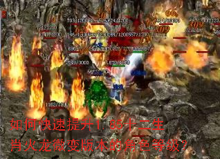 ο1.85ʮФ΢汾Ľɫȼ