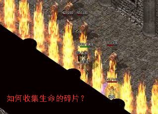 如何收集生命的碎片? 如何收集生命的碎片?