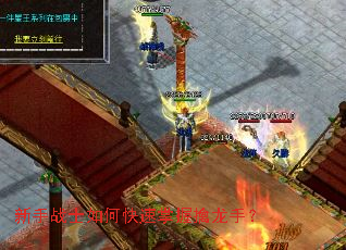 新手战士如何快速掌握擒龙手? 新手战士如何快速掌握擒龙手?