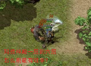 玛雅神殿一层到六层怎么刷最有效率? 玛雅神殿一层到六层怎么刷最有效率?