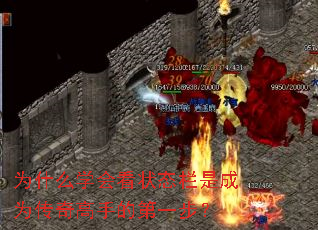 Ϊʲôѧῴ״̬ǳΪֵĵһ