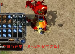 封魔谷白猪会爆出哪些稀有装备? 封魔谷白猪会爆出哪些稀有装备?