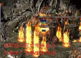 如何应对死亡带来的永久损失?传奇生存指南 如何应对死亡带来的永久损失?传奇生存指南