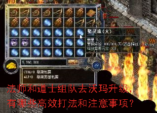 法师和道士组队去沃玛升级,有哪些高效打法和注意事项? 法师和道士组队去沃玛升级,有哪些高效打法和注意事项?