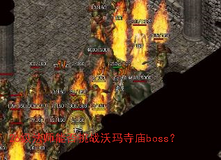 26级法师能否挑战沃玛寺庙boss? 26级法师能否挑战沃玛寺庙boss?
