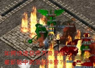 如何快速获得万兽灵宠最新版中的顶级神兽? 如何快速获得万兽灵宠最新版中的顶级神兽?