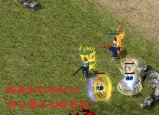 暗殿BOSS刷新时间与爆率如何查询? 暗殿BOSS刷新时间与爆率如何查询?