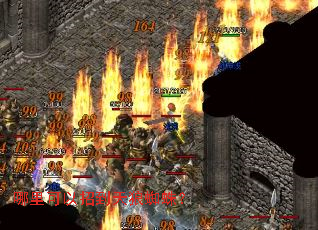 哪里可以招到天狼蜘蛛? 哪里可以招到天狼蜘蛛?