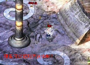 哪里可以招到天狼蜘蛛? 哪里可以招到天狼蜘蛛?