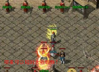 ��������е�����֩�룿